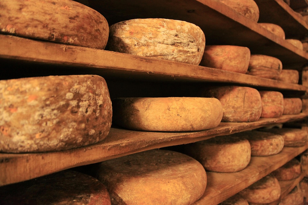 cheese-407121_1280